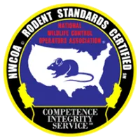 200rodent-640w