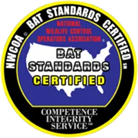 bats200-640w