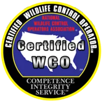 wco200-640w